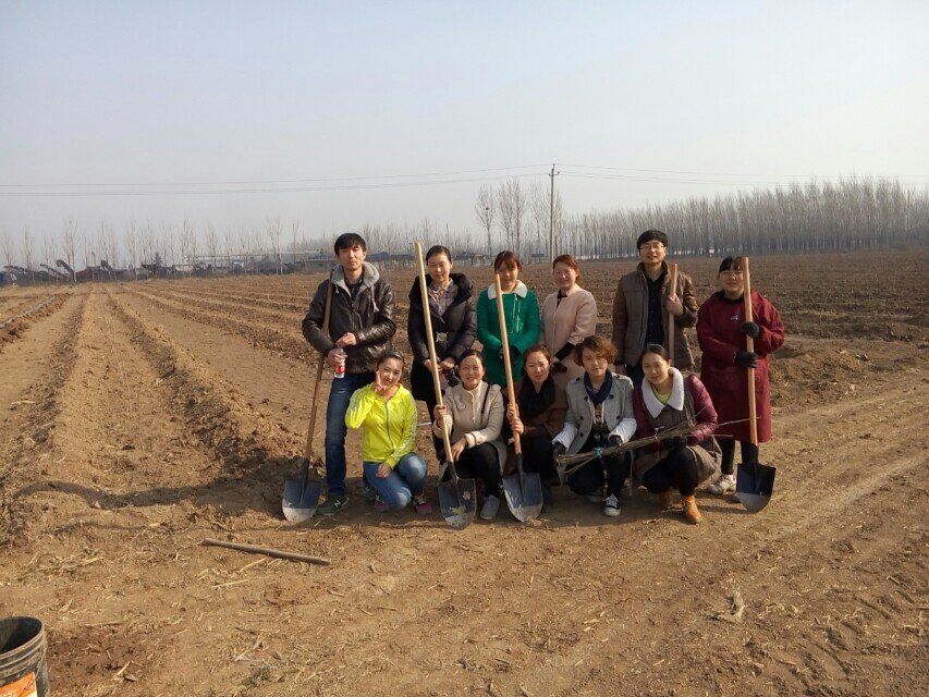 博農(nóng)集團(tuán)領(lǐng)導(dǎo)、基層黨政負(fù)責(zé)人等同志積極參加植樹活動(dòng)